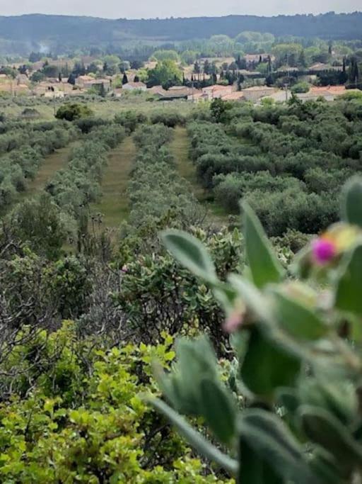 La Pitchoune : Gite Aux Pieds Des Alpilles مورييه المظهر الخارجي الصورة