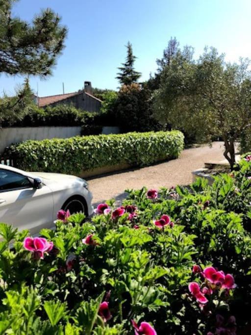 La Pitchoune : Gite Aux Pieds Des Alpilles مورييه المظهر الخارجي الصورة